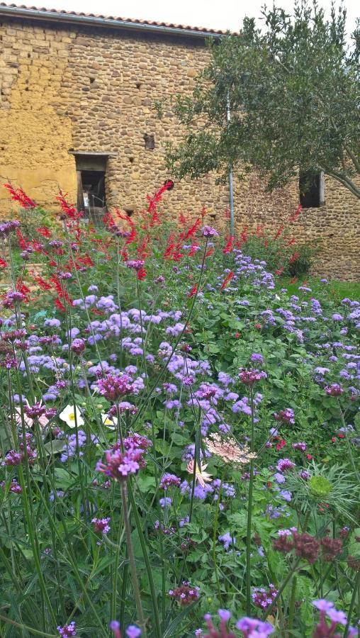 Maison Et Jardin Talinou Bed and Breakfast Montastruc  Buitenkant foto